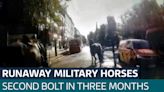 Runaway military horses bolt through London again after losing riders - Latest From ITV News