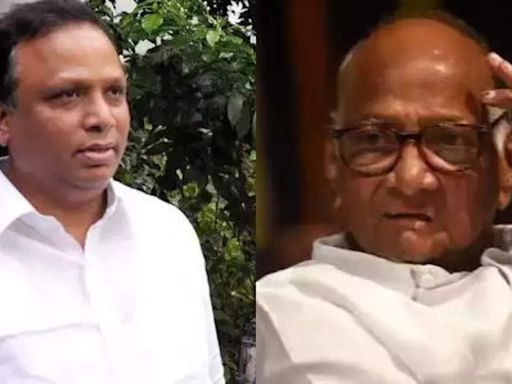 'What is your opinion on Maratha protestors demand...': Mumbai BJP chief Ashish Shelar questions Sharad Pawar | Mumbai News - Times of India