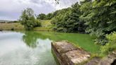 Wolfhill Dam blue green algae sparks call for action to stop spread