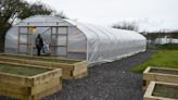 Community garden opens after allotment saga