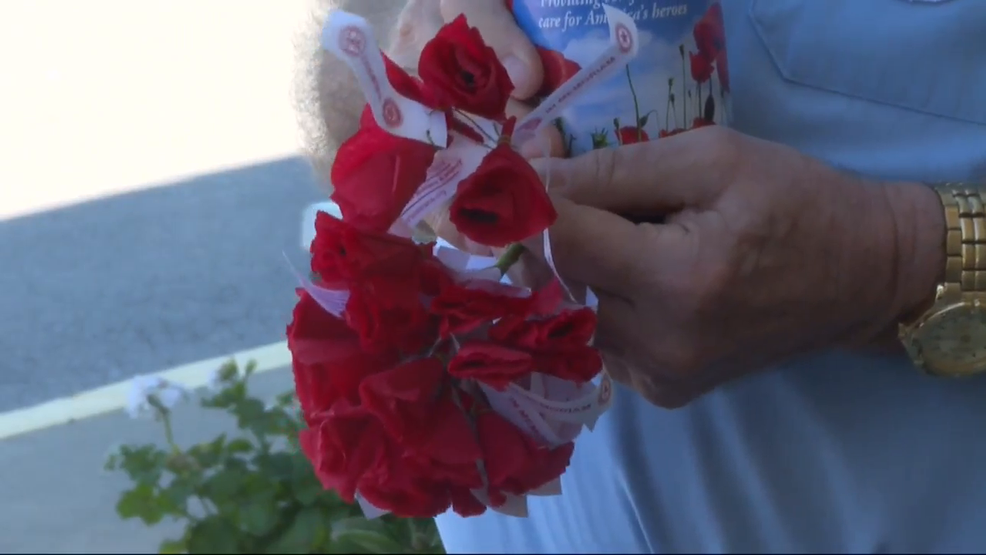 Missouri organization hands out poppies, collects donations to help veterans