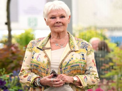 Where Does Judi Dench's Career Stand at the Moment; Here's What You Need to Know