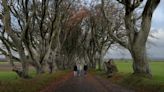Trees made famous by Game Of Thrones ‘could disappear within 15 years’