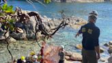 Sunshine Coast SAR responds to Canada Day callout to Smuggler Cove