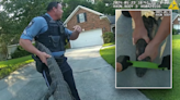 Georgia alligator takes ride in police cruiser after driveway 'arrest': video