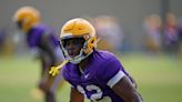 LSU defensive back enters the transfer portal