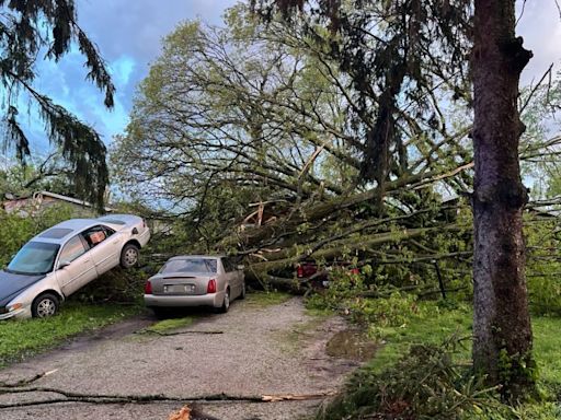 Buildings destroyed, trees down after tornadoes in SW MI