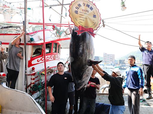 黑鮪魚季來了！今年全國第一鮪 蘇澳拍賣總價352萬