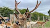 Boy, 4, left behind at wildlife park after nursery trip