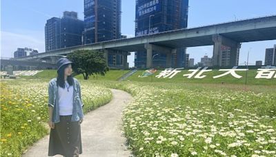 新北大都會公園絢爛花海綻放 邀民一探少女的祕密花園 - 生活