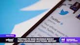 UPDATE 1-Twitter says no evidence new user data leaks were obtained via system bug