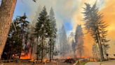 Update: Wildfire in Yosemite National Park grows. Evacuation order for Wawona