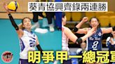 【甲一排球】葵青協興齊錄兩連勝 周日爭奪總冠軍