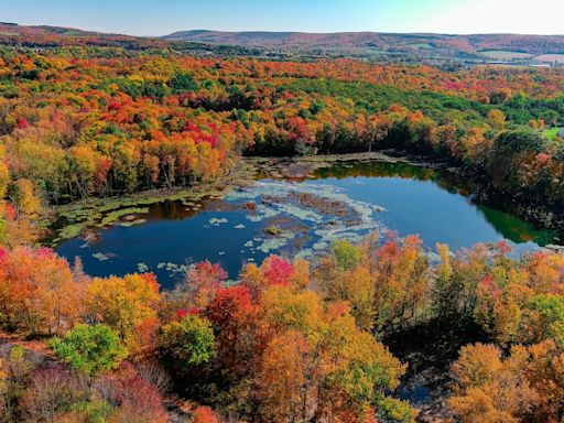 2024 fall foliage: When will leaves change, peak in Upstate NY?