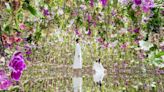 Japan's teamLab Planets' immersive art exhibition a must-visit in Tokyo