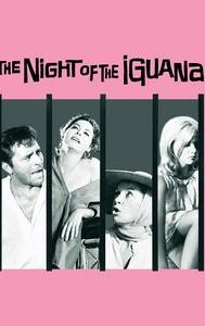 The Night of the Iguana