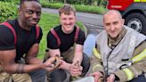Three ducklings stuck in drain saved by fire crew