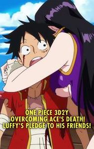 One Piece 3D2Y: Overcoming Ace's Death! Luffy's Pledge to His Friends!