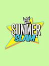 WWE:Countdown to SummerSlam