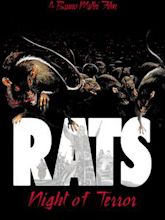 Rats - Notte di terrore