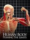 The Human Body: Pushing the Limits