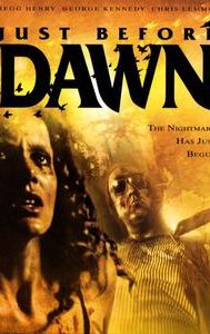 Just Before Dawn (1981 film)