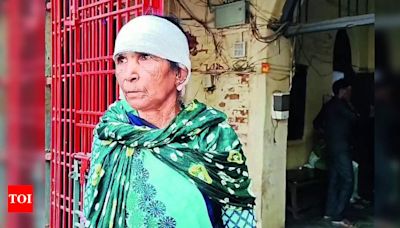 Robbers flee with ear, earring of Padra woman | Vadodara News - Times of India
