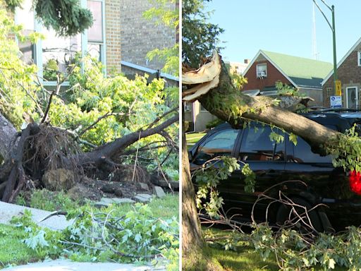 Tormentas y fuertes vientos causan destrozos en estos vecindarios de Chicago