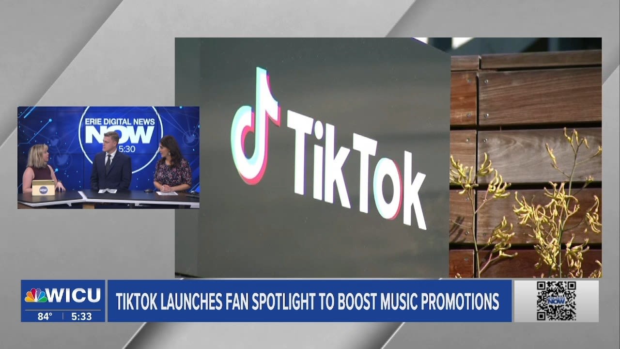 TikTok Launches Fan Spotlight to Boost Music Promotions