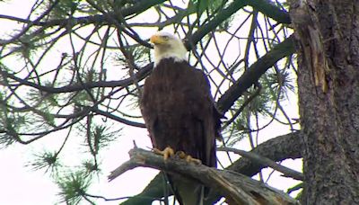 Oakland Zoo continues fight against animal extinction