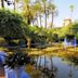 Jardin Majorelle