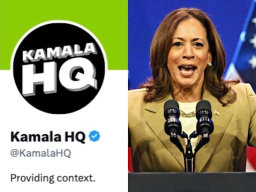 The one thing Kamala Harris must not do is embrace the memes