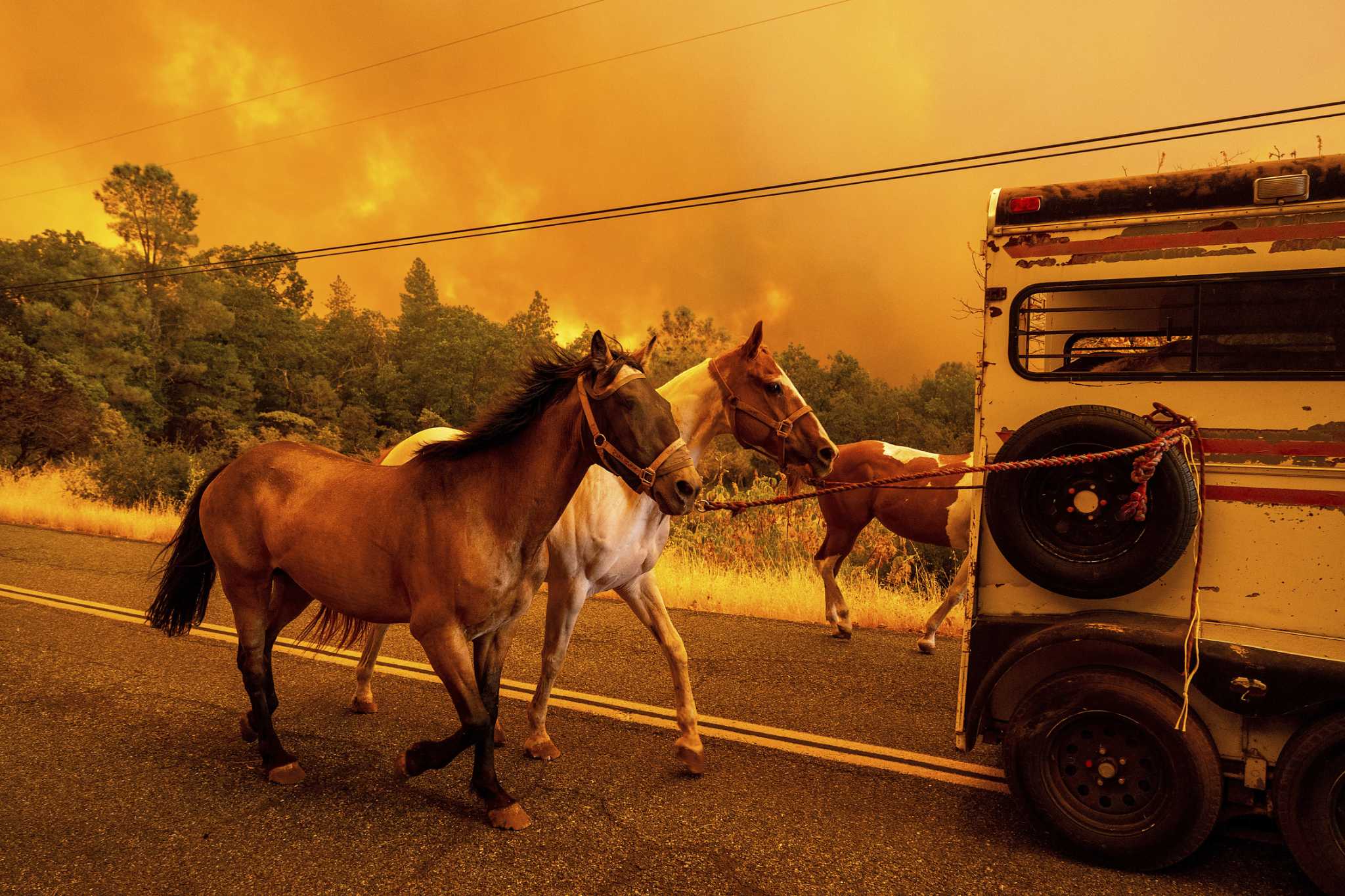 Flurry of evacuations after Northern California wildfire explodes in size