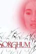 Red Sorghum (film)