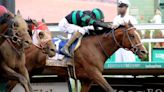 Who will win the Preakness Stakes? Horses, odds, expert picks and more for 2024 Triple Crown race | Sporting News Canada