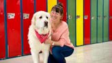 Meet the Quebec pups supporting high school students and teachers through zootherapy