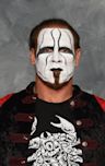 Sting (wrestler)