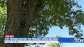 Albert Lea City Council Approves Plan to encourage homeowners to treat emerald ash borer