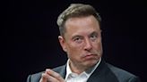 Elon Musk isn't convinced there are aliens out there: 'We're the aliens'