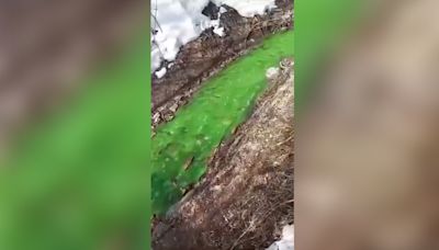 River suddenly turns bright green, residents demand tests amid toxic pollution: report