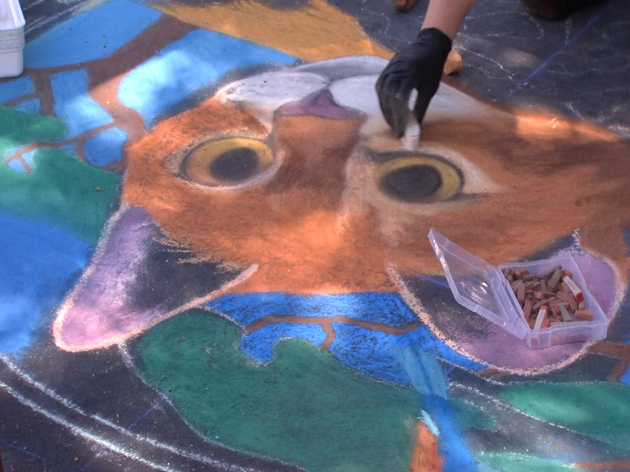 Artists showcase animal-inspired chalk art at Utah’s Hogle Zoo