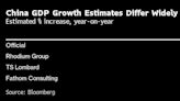 中国经济去年真的增长了5.2%吗？ 并非人人都赞同