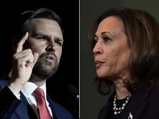 'Cat Ladies' Unite Against JD Vance's Sexist Remark For Kamala Harris