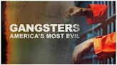 Gangsters: America’s Most Evil (2012) Season 5 Streaming: Watch and Stream Online via Peacock