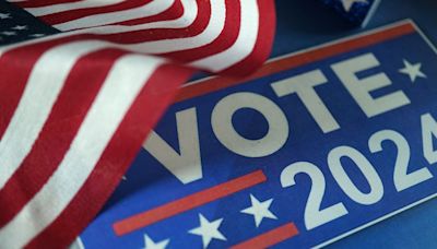Arizona primary election 2024: What to know about federal, state and local races