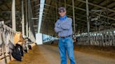 Producing power from cow poop: A Florida dairy aims to reduce climate impact of cattle