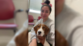 Maryland woman learns dog believed to be euthanized is alive and up for adoption