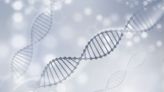 Programmable DNA Offers Way to Accelerated General-Purpose Computing