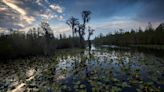 Georgia lawmakers weigh a 3-year pause on expansion permits for planned Okefenokee mine