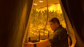 Ganja glut? With excess weed, growers seek interstate sales